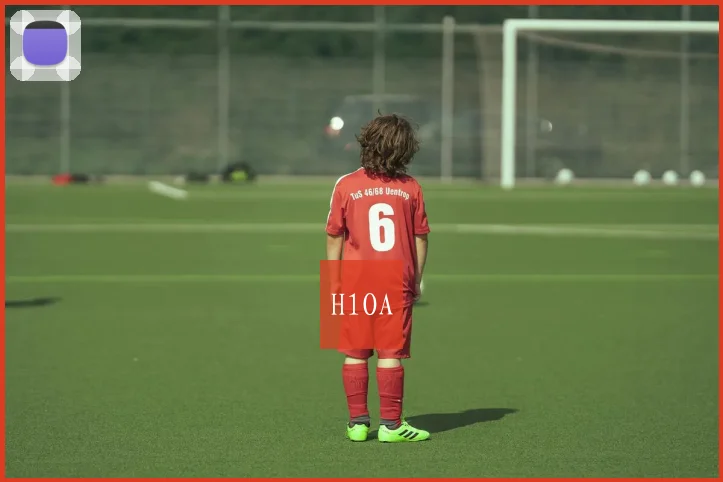H1OA