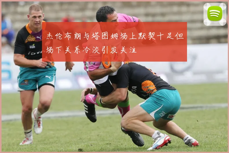杰伦布朗与塔图姆场上默契十足但场下关系冷淡引发关注