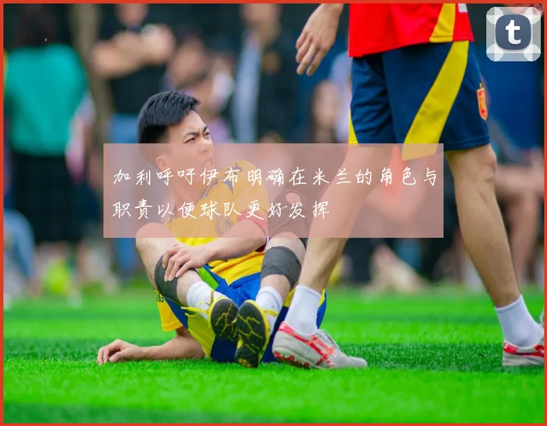 加利呼吁伊布明确在米兰的角色与职责以便球队更好发挥
