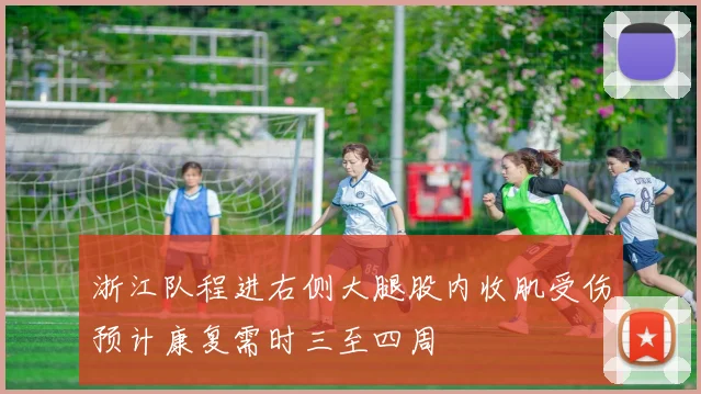 浙江队程进右侧大腿股内收肌受伤预计康复需时三至四周